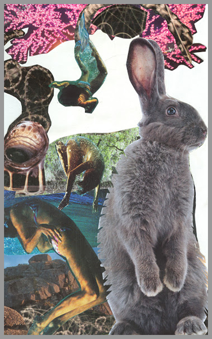 Bunny Bunny
